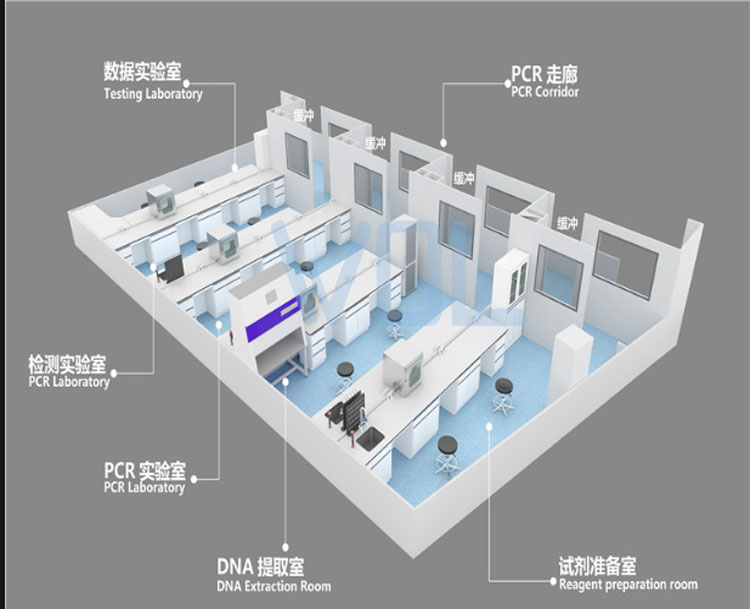 PCR实验室建设效果图