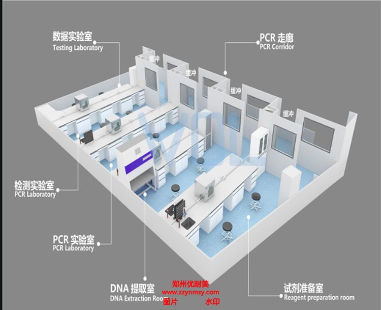 PCR实验室建设规划