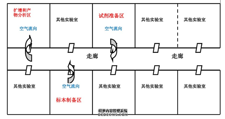 PCR实验室组成