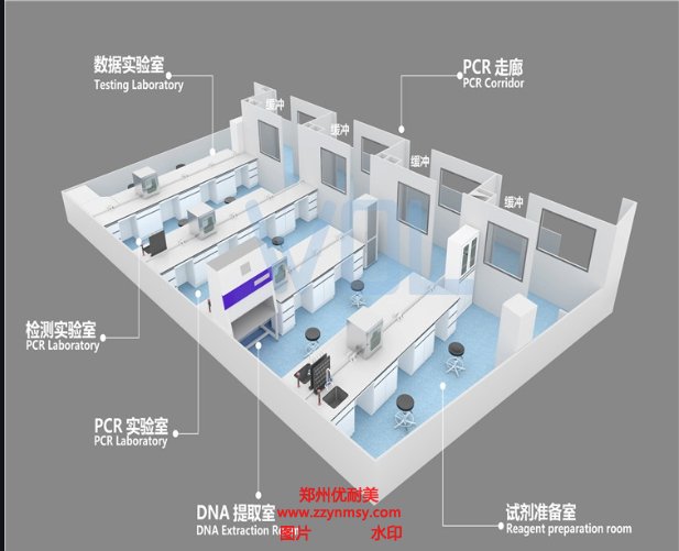 PCR实验室装修设计效果图